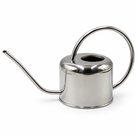 Arrosoir en métal de 1 L avec long bec verseur et poignée en boucle pour plantes d'intérieur, couleurs argent, or et cuivre