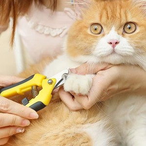 Coupe-ongles pour animaux de compagnie en acier inoxydable, <span class=keywords><strong>ciseaux</strong></span> à ongles obliques pour chats et chiens, vente en gros - Product Image 6