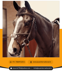 Mademoiselle anatomic 8 noseband bridle เย็บแฟนซีตะเข็บบังเหียนสมาร์ท - Product Image 5