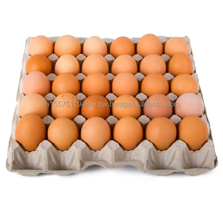 Chicken Eggs Ostrich Eggs, Chicken Eggs, Turkey Eggs Fresh Table Eggs Brown And White