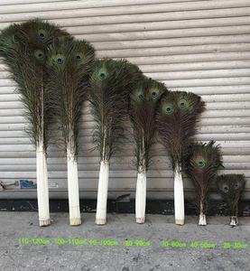 Plumes de paon brutes de Soraj Enterprises pour la décoration de fête - Product Image 1