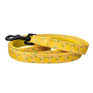 Laisse pour chien à motif d'agrumes, laisse pour animal de compagnie en polyester durable avec clip métallique pivotant pour la promenade quotidienne - Product Image 1