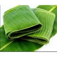 Groene Bananenbladeren-Het Perfecte Natuurlijke Ingrediënt Voor Culinair En Vakmanschap