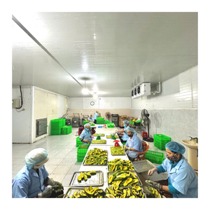 Premium Vietnam mitades de aguacate congelado IQF calidad de exportación a granel al por mayor mitades de aguacate congelado stand 034 variedad de suministros - Product Image 2