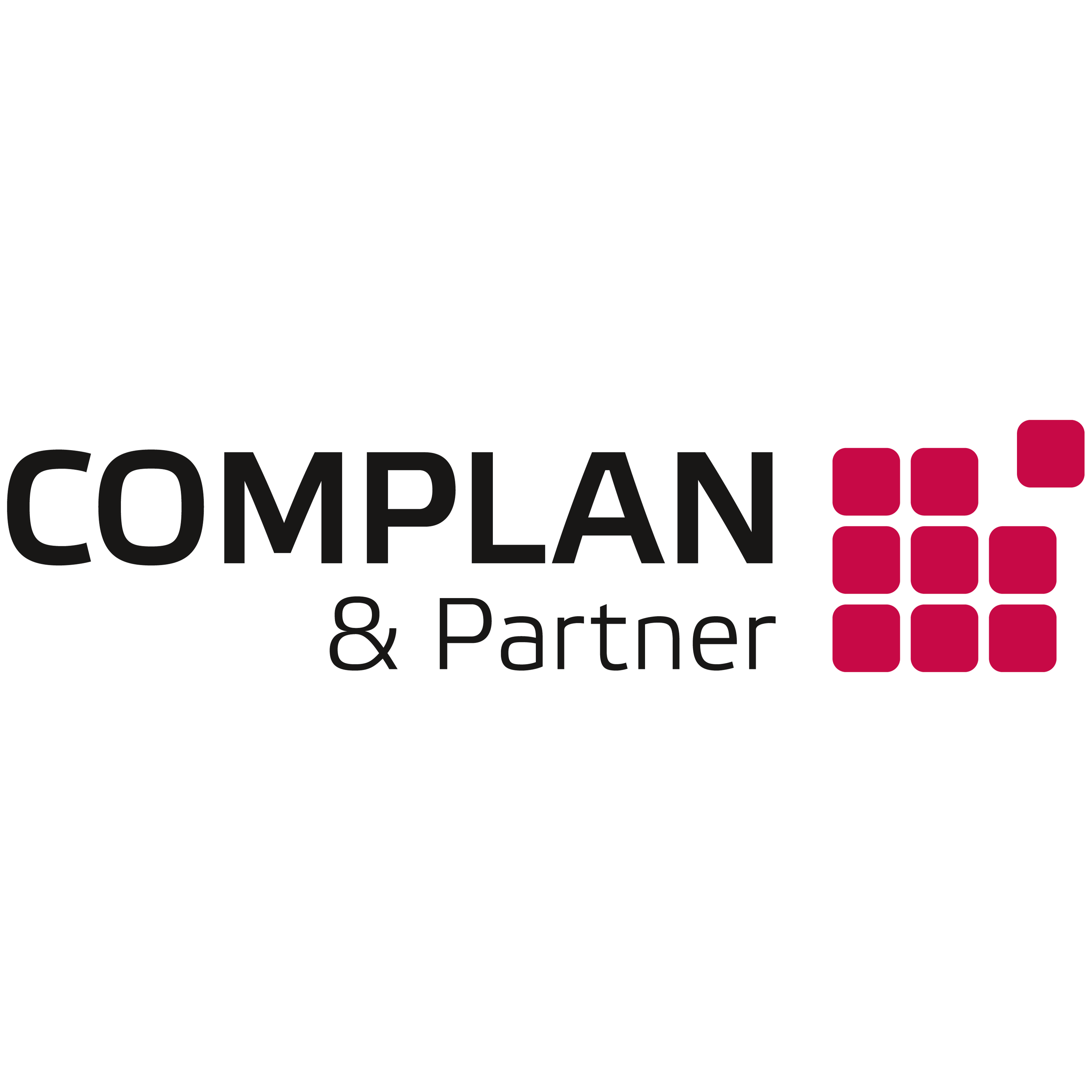 Complan & Partner GmbH logo