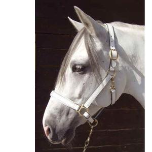 Leather <b>Halter</b> White Leather <b>Halter</b> / Chrome Leather Made Brass Hardware with Quick Snap - Product Image 1