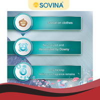 Downy semangat profesional 4L aroma segar pelembut kain sekali pakai untuk grosir pakaian dibuat di Vietnam