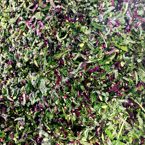 ใบผักโขมแช่แข็ง/ใบผักโขมสับจากเวียดนาม - Product Image 4