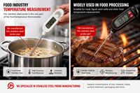 Sonde de température pointue polie en acier inoxydable SUS304 SUS316L de qualité alimentaire OEM, thermomètre de barbecue, capteur thermocouple PT100