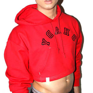 Haute qualité 100% coton Polyester recadrée sweats à capuche haut à la mode vêtements d'hiver teint en plaine avec une faible quantité minimale de commande - Product Image 2