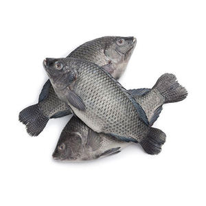Tilapia d'élevage, fruits de mer surgelés en gros pour les supermarchés - Product Image 2