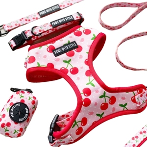 Sac à crottes personnalisé, ensemble harnais pour chien avec nœud et écharpe, accessoires de luxe pour chien - Product Image 1