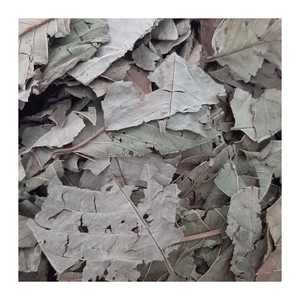 Hoja de guayaba seca natural, textura crujiente, conserva el sabor original, ideal para infusiones de hierbas, productos para el cuidado corporal, calidad de exportación - Product Image 1