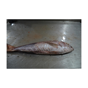 ปลาเก๋าสีขาวแช่แข็ง - Product Image 4