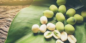 Produits agricoles pelés et non pelés de haute qualité Meilleures noix de lotus du Vietnam - Product Image 3