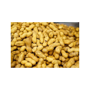 Kernel de cacahuetes orgánicos naturales 100% de alta calidad, venta al por mayor a granel de cacahuetes secos de buena calidad, carcasa superior de procesamiento crudo - Product Image 3