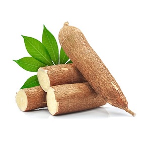 Mejor Precio Yuca Fresca Orgánica 25kg Stock Disponible a Granel con Empaque Personalizado - Product Image 1