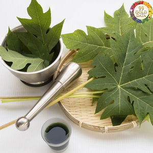 ใบมะละกอแห้งจากเวียดนาม ทำจากวัตถุดิบจากใบมะละกอธรรมชาติ สำหรับชงชา ปรุงรส และใช้ในอาหาร - Product Image 1