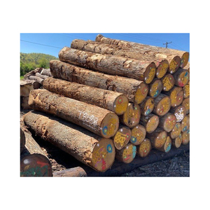And Beech <b>Log</b> Firewood / Mangrove Hardwood Firewood for Sale in Bulk Beech <b>Wood</b> <b>Logs</b>/pin Spruce Birch Oak Ash <b>Logs</b> - Product Image 1