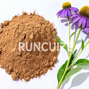 <span class=keywords><strong>Echinacea</strong></span>-extractpoeder 4% / 10% polyfenolen |   Natuurlijk plantaardig ingrediënt voor cosmetica, persoonlijke verzorging en OEM-formuleringen - Product Image 4
