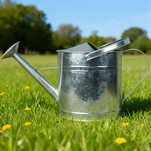 Arrosoir en métal haute capacité conçu pour l'efficacité, assurant un arrosage confortable des pelouses, des jardins et des terrasses - Product Image 1