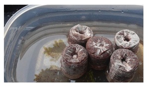 Meilleure vente de granulés de tourbe de coco de haute qualité pour l'exportation à bas prix granulés de tourbe de coco biodégradables du Vietnam - Product Image 2