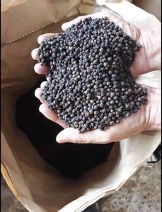 Pimienta negra de la mejor calidad de Vietnam Phalco Cinnamon's Special Single Spice Raw Dry Process 500 GL 550 GL Price - Product Image 5