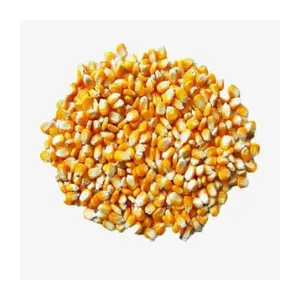 Wholesale Price Yellow Corn High Quality Yellow Maize Corn for Animal Feed Supplier