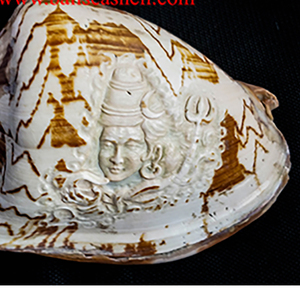 Cymbiola carving style Shiva God <b>Ornament</b> SEASHELL JEWELRY Religious Motif <b>Shell</b> Jewelry - Product Image 2
