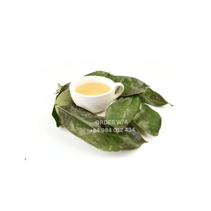 แคปซูลฝรั่งเทศกราเวียโลล่า ผลิตภัณฑ์ธรรมชาติ ขายดี ใบฝรั่งเทศกราเวียโลล่า ใบแห้ง ให้ประโยชน์ต่อสุขภาพ - Product Image 6