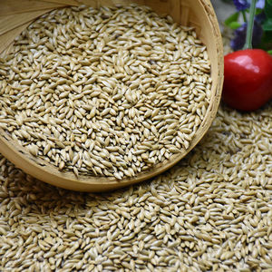 เมล็ดนกขมิ้นสำหรับนกอาหารสัตว์เลี้ยงผลิตภัณฑ์สัตว์เลี้ยงอาหารนกขมิ้นเมล็ดคานารี - Product Image 1