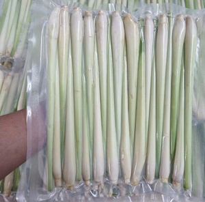 Limoncillo vietnamita auténtico: Exportación a granel, fresco y congelado - Product Image 1