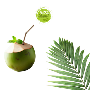 Noix de coco fraîche vietnamienne produit agricole naturellement rafraîchissant - Product Image 4