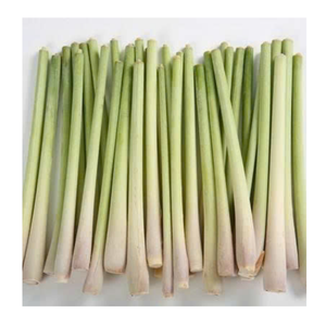 Tiges de citronnelle congelées de qualité supérieure et citronnelle congelée tranchée pour l'assaisonnement Fournisseur du Vietnam d'usine de citronnelle congelée - Product Image 5