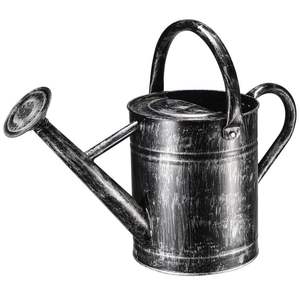 Arrosoir en métal fabriqué avec un corps en métal robuste offrant un outil d'arrosage fiable et approuvé par de nombreux professionnels du jardinage - Product Image 6