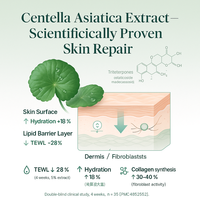 Sérum réparateur léger Centella pour temps chaud d'Asie