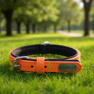 Collare per Cani Imbottito in Neoprene PU per Animali Domestici - Product Image 3