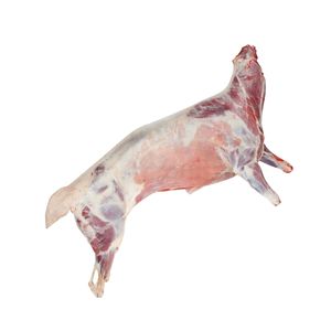Carne de Cabra Congelada para Exportación, Criada en Granja, Tierna y Magra, Procesada Higiénicamente para Venta al por Menor, al por Mayor y Distribución - Product Image 2