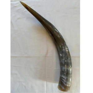 Corne à boire Viking africain polie à la main Design nautique écologique Souvenir d'artisanat naturel sculpté par l'artisanat du croissant - Product Image 3