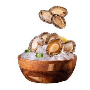 Abulón Congelado, Eviscerado, Seco, Enlatado, Proceso BQF, 20 kg - Product Image 2