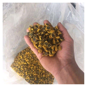 Élégance Premium Fresh Flower Daisy Camomille: Camomille de marguerite purement naturelle du Vietnam, séchée pour un rituel de thé simple - Product Image 3