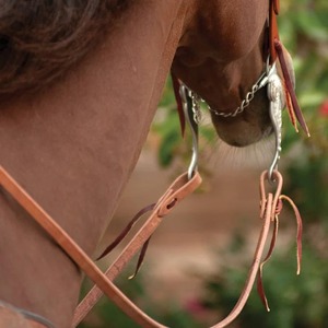 Rênes de cheval en cuir véritable faites à la main, logo personnalisé, style vintage, rênes courtes à prix de gros - Product Image 2