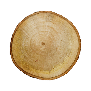 High Quality 3-Inch Single Piece Classic Style Mango Wood Coasters Handmade Corporate Gifting Multi-Use Mats & <b>Pads</b> - Product Image 2