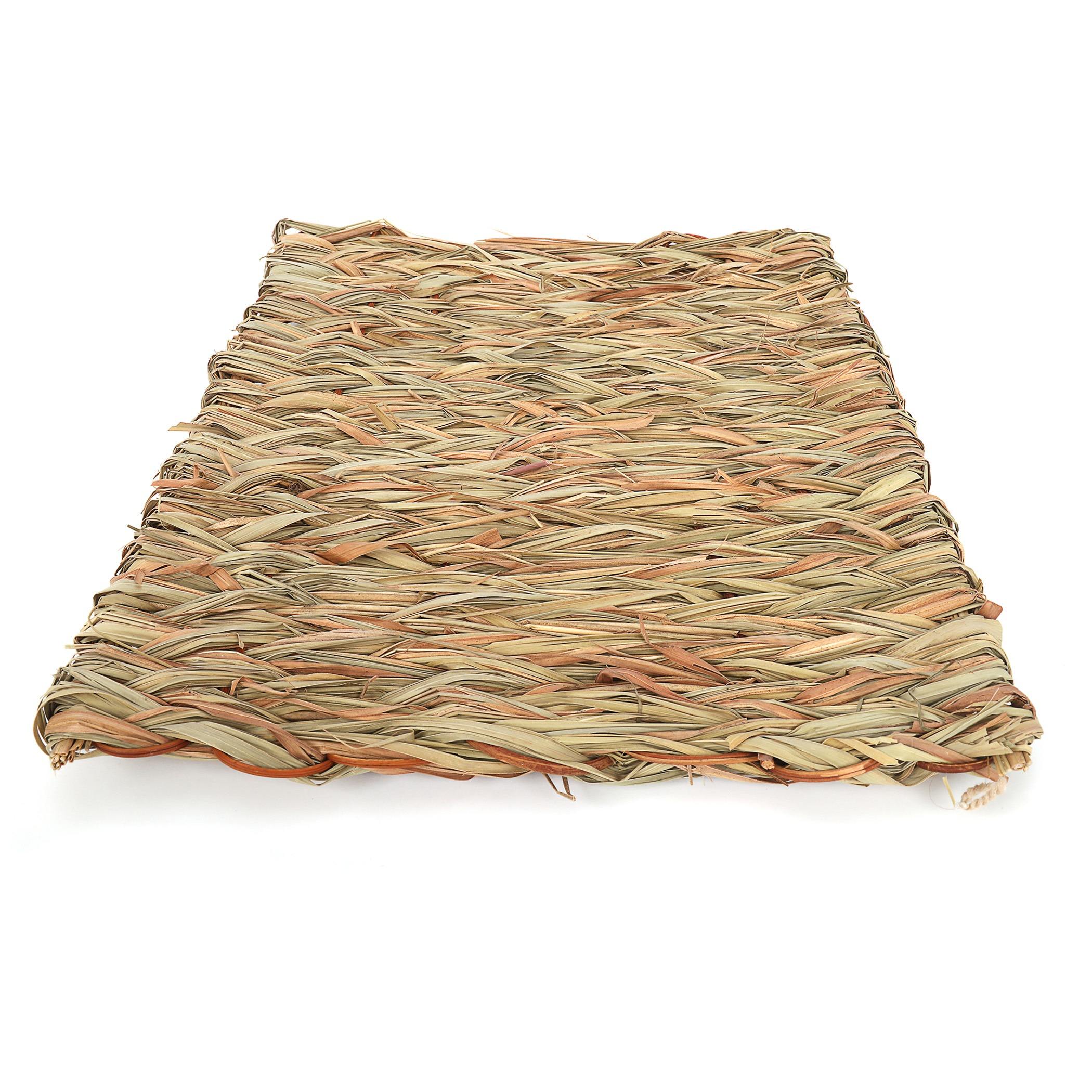 ธรรมชาติ