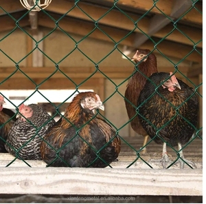 Ferme robuste et galvanisé KIMMU Factory Supply Clôture de jeu en fil de diamant Clôture à maillons de chaîne de 6 pieds à vendre - Product Image 3