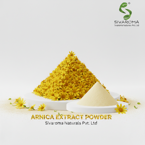 Extrait de fleur d'arnica conçu pour la fourniture d'ingrédients cosmétiques industriels - Product Image 1