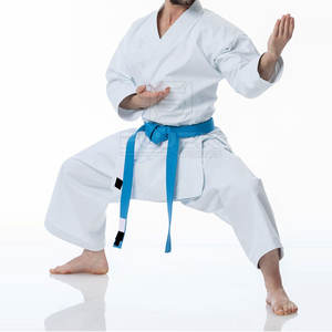 Ropa juvenil de uniforme de karate de talla grande de calidad superior con el último diseño Precio razonable para ropa de artes marciales - Product Image 3
