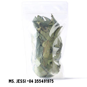 Hojas de Guanábana orgánicas al por mayor-Extracto de hoja de Graviola de alta calidad/Sra. Jessi - Product Image 3