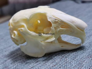 Estatua esculpida de animales de resina artística Tradebyd, figurita hecha a mano creativa para compradores de regalos y decoración del hogar - Product Image 3