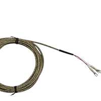 Sensor PT100 de Clase B, Sonda de Temperatura RTD de Platino de Alta Precisión de 3 Cables